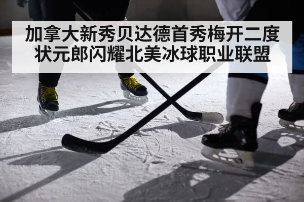 加拿大新秀贝达德首秀梅开二度状元郎闪耀北美冰球职业联盟