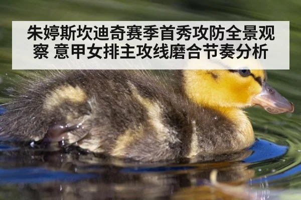 朱婷斯坎迪奇赛季首秀攻防全景观察 意甲女排主攻线磨合节奏分析